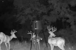 10185 State Rt 376, McConnelsville, OH 43756 - Photo 28