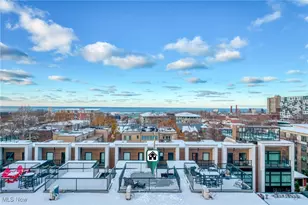 3109 Vine Ct, Loveland, OH 44113 - Photo 42