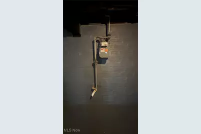 12417 Maple Avenue, Loveland, OH 44108 - Photo 38