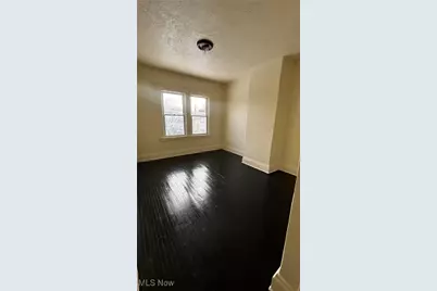 12417 Maple Avenue, Loveland, OH 44108 - Photo 18