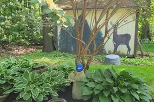 15899 McCallum Dr, Doylestown, OH 44230 - Photo 46