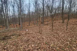 69800 Skull Fork Rd, Freeport, OH 43973 - Photo 18