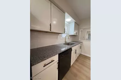 5303 Behrwald Avenue, Loveland, OH 44144 - Photo 12