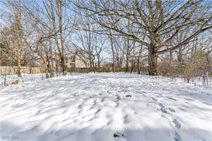 3039 E 126th St, Loveland, OH 44120 - Photo 38