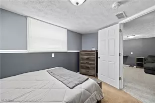 1328 Birchview Dr, Vermilion, OH 44089 - Photo 22