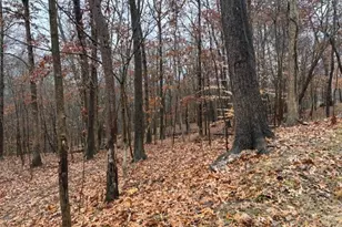 17130 Burson Rd, Lore City, OH 43755 - Photo 34