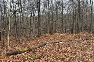 Pert Hill Rd, Hopewell, OH 43746 - Photo 1