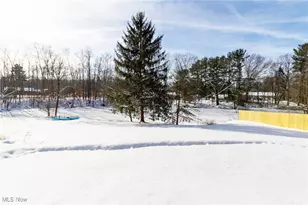 24434 Emmons Rd, Columbia Station, OH 44028 - Photo 40