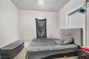 9616 Lamontier Ave, Loveland, OH 44104 - Photo 28