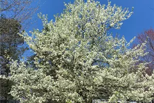 8730 Lake in the Woods Trail, Chagrin Falls, OH 44023 - Photo 46