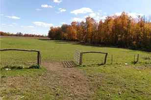 7868 State Route 7, Williamsfield, OH 44093 - Photo 4