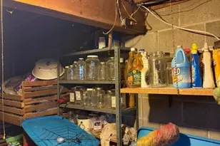 15639 SE Grove Road SE, Port Washington, OH 43837 - Photo 34