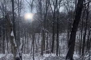 15639 SE Grove Road SE, Port Washington, OH 43837 - Photo 14