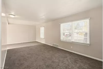 248 E Catawba Avenue, Akron, OH 44301 - Photo 14