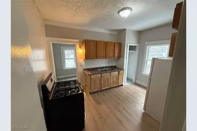 1028 E 146th Street, Loveland, OH 44110 - Photo 12