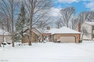 10273 Luman Ln, Twinsburg, OH 44087 - Photo 1
