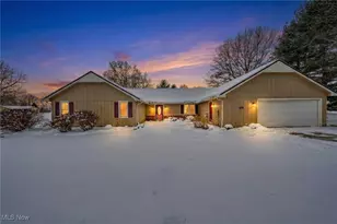 10121 Crows Nest Cove, Aurora, OH 44202 - Photo 1