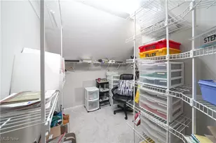909 Grandview Ln, Aurora, OH 44202 - Photo 26