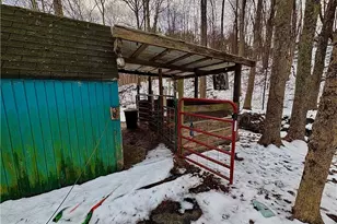 4542 Bloomfield Rd, Cambridge, OH 43725 - Photo 10