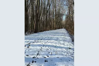 42141 Emerson Court, Elyria, OH 44035 - Photo 32