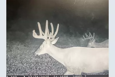 7714 County Rd 14, Corning, OH 43730 - Photo 46