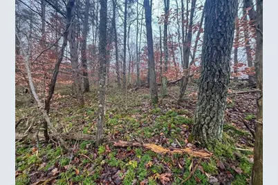 7714 County Rd 14, Corning, OH 43730 - Photo 38