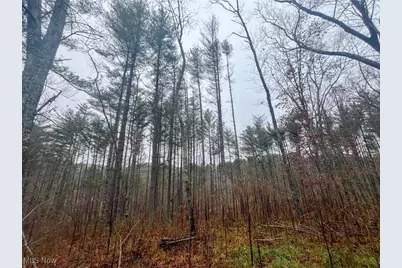 7714 County Rd 14, Corning, OH 43730 - Photo 20