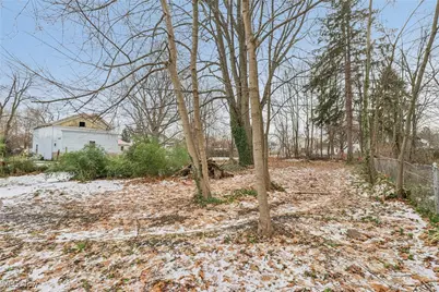 164 Burrows Street, Geneva, OH 44041 - Photo 48