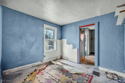 215 W College Street, Oberlin, OH 44074 - Photo 34