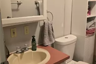 3218 State Route 82, Mantua, OH 44255 - Photo 16