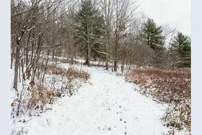 Se Deerhorn Road, Tippecanoe, OH 44699 - Photo 20