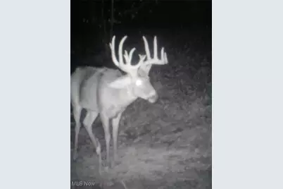 Se Deerhorn Road, Tippecanoe, OH 44699 - Photo 32