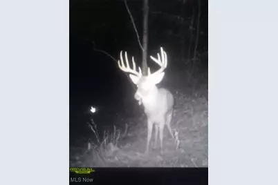 Se Deerhorn Road, Tippecanoe, OH 44699 - Photo 30