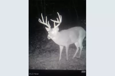 Se Deerhorn Road, Tippecanoe, OH 44699 - Photo 34