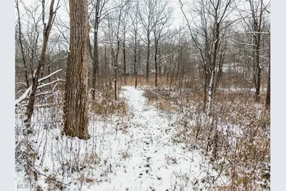 Se Deerhorn Road, Tippecanoe, OH 44699 - Photo 4