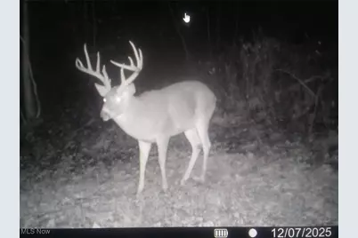 Se Deerhorn Road, Tippecanoe, OH 44699 - Photo 36