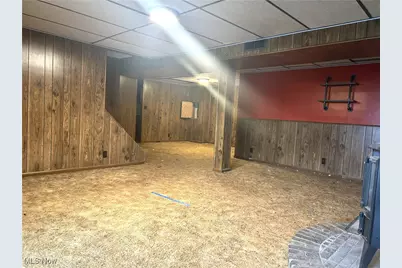 225 Petrick Ave, Mingo Junction, OH 43938 - Photo 22