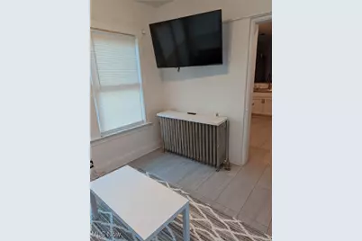 10918 Ashbury Avenue, Loveland, OH 44106 - Photo 28