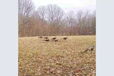 0 Sealover Hollow Road, Philo, OH 43771 - Photo 14