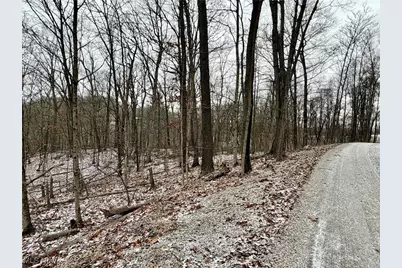 0 Sealover Hollow Road, Philo, OH 43771 - Photo 20