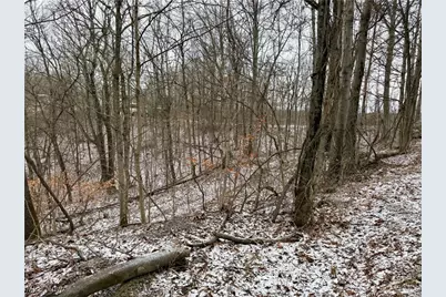 0 Sealover Hollow Road, Philo, OH 43771 - Photo 24