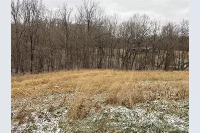 0 Sealover Hollow Road, Philo, OH 43771 - Photo 4