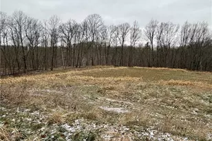 0 Sealover Hollow Rd, Philo, OH 43771 - Photo 1