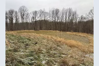 0 Sealover Hollow Road, Philo, OH 43771 - Photo 16