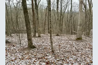 0 Sealover Hollow Road, Philo, OH 43771 - Photo 10