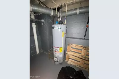 9905 Nelson Avenue, Loveland, OH 44105 - Photo 26