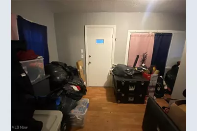 9905 Nelson Avenue, Loveland, OH 44105 - Photo 12