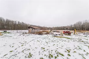 1171 Lewis Rd, Pierpont, OH 44082 - Photo 40