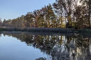 33162 Eagles Glen Ct, North Ridgeville, OH 44039 - Photo 34