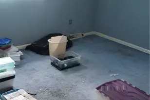 815 E 272nd St, Euclid, OH 44132 - Photo 40